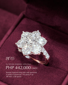 Rositas Earrings - 14 carats
